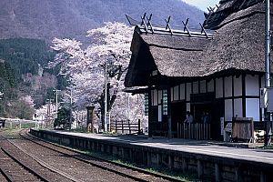 湯野上温泉駅桜.jpg